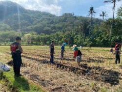 Dukung Ketahanan Pangan, Sat Samapta Sambangi Petani Kebon Ayu