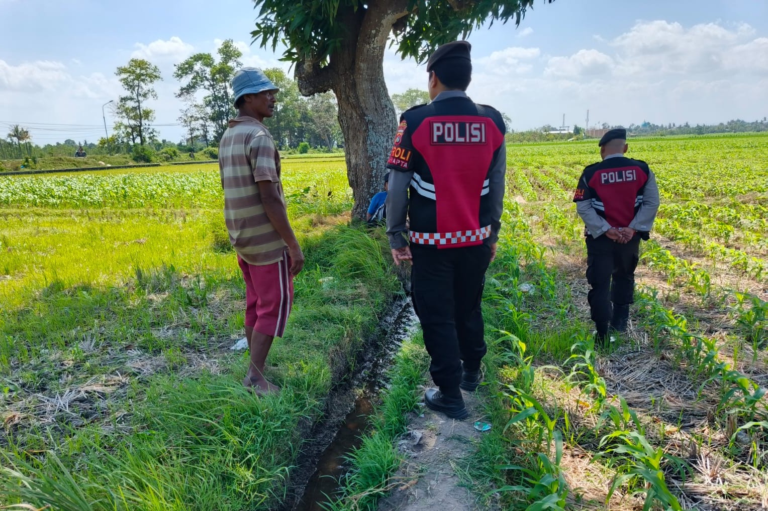 Polres Lombok Barat Pantau Lahan Jagung di Desa Tempos untuk Dukung Swasembada Pangan