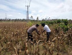 Polri Bangun Ketahanan Pangan Lewat DDS di Desa Kedaro, Sekotong