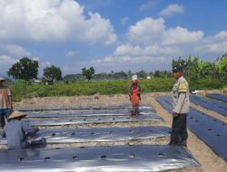 Polisi Kediri Gerakkan Petani Desa Montong Are Tanam Cabai