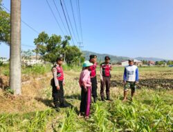 Patroli Samapta Polres Lobar Dukung Ketahanan Pangan Gerung