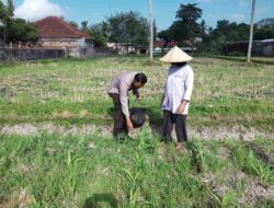Bhabinkamtibmas Desa Kuripan Giatkan Edukasi Pemanfaatan Lahan Kosong