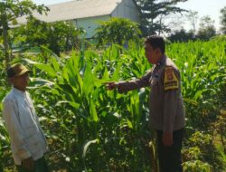 Polisi dan Petani Telagawaru Bersinergi Wujudkan Desa Mandiri Pangan