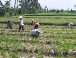 Polsek Kediri Gandeng Petani Montong Are Tingkatkan Produksi Pertanian