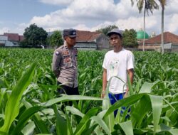 Pendekatan Humanis Polsek Kuripan: Sosialisasi Pangan dan Kamtibmas di Dusun Due Pelet