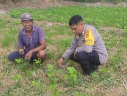 Inisiatif Bhabinkamtibmas Kuranji: Warga Diajak Menanam di Lahan Kosong