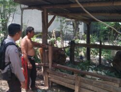 Edukasi Pertanian Pekarangan, Polsek Batulayar Beri Contoh di Dusun Melase