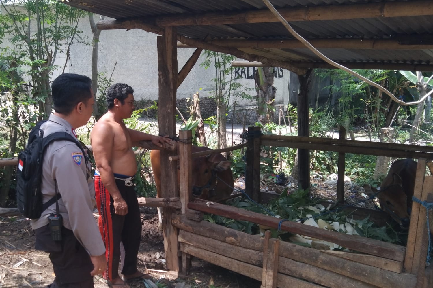 Warga Dusun Melase Antusias Sambut Program Pertanian Pekarangan yang Digagas Polsek Batulayar