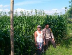 Polisi Hadir Dampingi Petani Jagaraga Tingkatkan Produksi Pangan Lokal