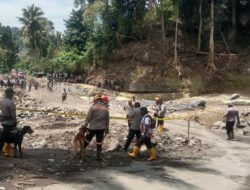 Empat Anjing Pelacak Polri Sisir Sungai Cari Tiga Korban Banjir Nagekeo
