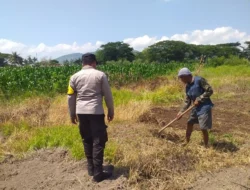 Petani Jagaraga Termotivasi, Lahan Tidur Disulap Jadi Sumber Pangan