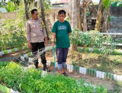 Dukung Ketahanan Pangan, Polsek Lembar Pantau Kendala Petani