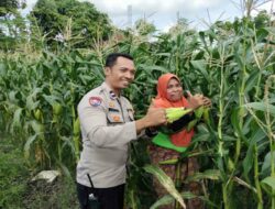 Polsek Labuapi Lakukan Sambang Warga, Fokus pada Kemandirian Pangan