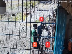 Satgas Ops Damai Cartenz Selidiki Kasus Penikaman Warga Pendatang di Dekai, Yahukimo