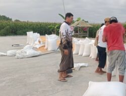 Jamin Pasar Petani, Polsek Gerung Dampingi Penjualan 11 Ton Jagung ke BULOG