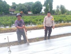 Aksi Nyata Bhabinkamtibmas Lombok Barat Dukung Ketahanan Pangan Nasional