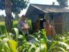 Gerakan Ketahanan Pangan: Polsek Labuapi Dorong Warga Manfaatkan Pekarangan Rumah