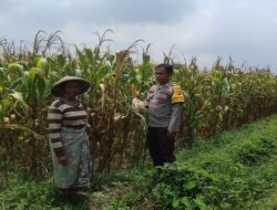 Kawal Desa, Polri Dukung Penuh Program Ketahanan Pangan di gerung