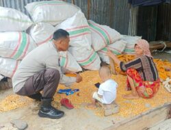 Sinergi Polri dan Petani Jaga Ketahanan Pangan NTB