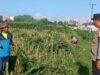 Bhabinkamtibmas Labuapi Turun ke Ladang Motivasi Petani
