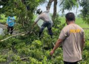 Respon Cepat Polsek Praya Barat Evakuasi Pohon Tumbang