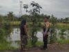 Ketahanan Pangan di Lombok Barat, Polri dan Petani Bersinergi