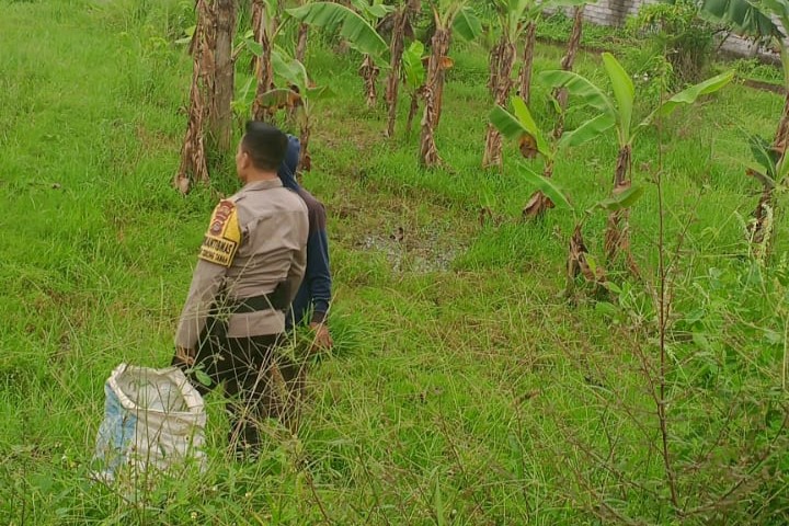 Ketahanan Pangan di Labuapi, Peran Aktif Polisi Jaga Stabilitas Harga