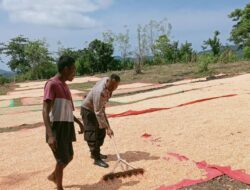 Bhabinkamtibmas Polsek Monta, Bantu Proses Pengeringan Jagung Warga di Desa Binaannya