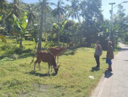Sosialisasi P2B di Batulayar Barat, Langkah Nyata Polri Wujudkan Swasembada Pangan
