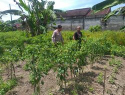 Sosialisasi Ketahanan Pangan oleh Bhabinkamtibmas Jagaraga