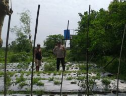 Dari Jagaraga untuk Indonesia: Bhabinkamtibmas Pelopori Ketahanan Pangan