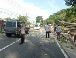 Kegiatan Pemangkasan Pohon Dijaga Ketat, Polisi Atur Lalu Lintas di Lembar