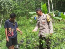 Bhabinkamtibmas Kawal Ketahanan Pangan di Lombok Barat