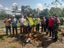 Sambut HUT Bhayangkara Ke-79, Polsek Bolo Bersama PSDHA Laksanakan Penanaman Pohon kelapa