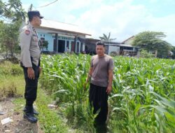 Kolaborasi Bhabinkamtibmas dan Warga Labuapi Perkuat Kamtibmas dan Pangan Lokal