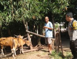 Pekarangan Produktif, Solusi Pangan di Batulayar Barat