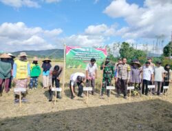 Polsek Kuripan, TNI, dan Petani Kompak Tanam Jagung untuk Kemandirian Pangan