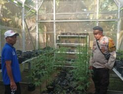 Swasembada Pangan Dimulai dari Pekarangan Rumah Warga Sandik