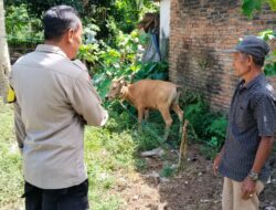 Polisi Lembar Barat Giatkan Program Swasembada Pangan di Dusun Puyahan