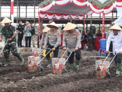 Sukseskan Ketahanan Pangan Nasional, Polda Kalteng dan Polresta Palangka Raya Tanaman Jagung di Rakumpit