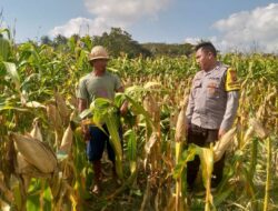 Dari Tambang Eleh untuk Indonesia: Program Pangan Dimulai dari Akar Rumput