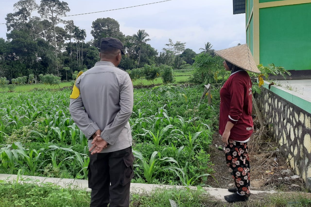 Bhabinkamtibmas Montong Are Dukung Ketahanan Pangan Lewat Pendampingan Petani