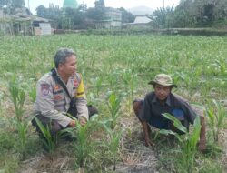 Kolaborasi Polri dan Masyarakat Desa Sandik Perkuat Program Pangan Nasional