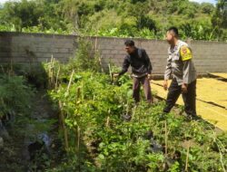 DDS Bhabinkamtibmas Sekotong: Pekarangan Rumah Jadi Kunci Ketahanan Pangan Keluarga