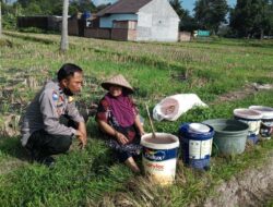 Ketahanan Pangan Dimulai dari Desa: Inisiatif Polsek Kuripan Jadi Contoh