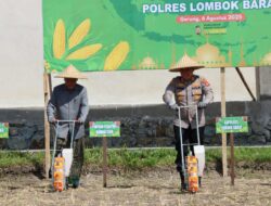 Dukung Asta Cita, Polres Lombok Barat Galakkan Tanam Jagung di Lahan Ponpes