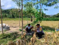 Sinergi Bhabinkamtibmas dan Petani Jagung Eyat Mayang Dorong Produktivitas Pertanian