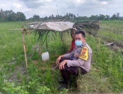 Kapolsek Kuripan Apresiasi Langkah Bhabinkamtibmas Jagaraga Perkuat Pangan Lokal