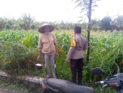 Bhabinkamtibmas Jagaraga Motori Pemanfaatan Pekarangan untuk Swasembada Pangan