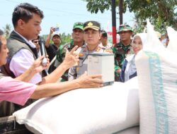 Gerakan Pangan Murah Warnai Panen Raya Jagung Serentak di Lombok Barat